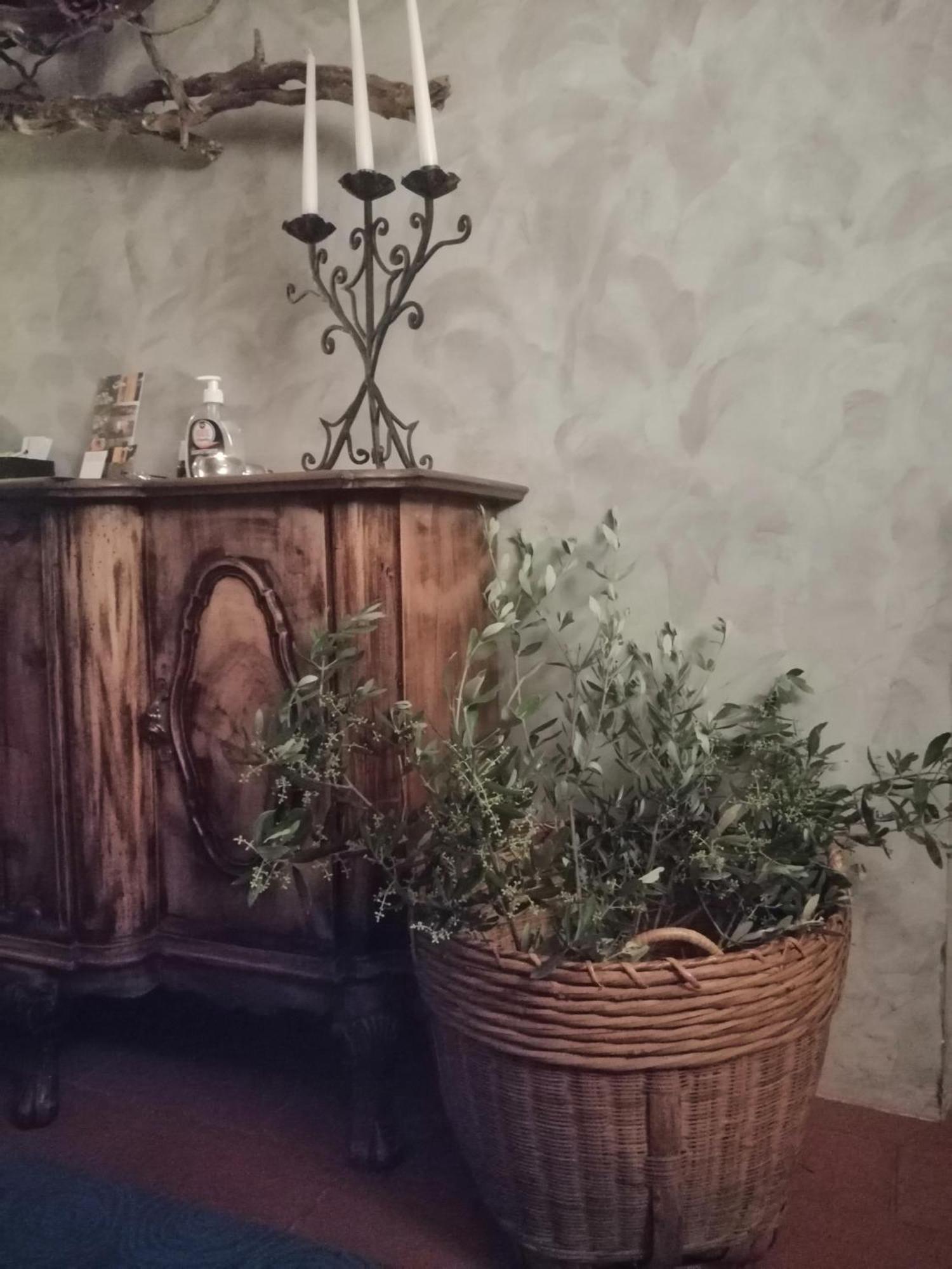 Corte Di Maggio B&B Country House イーモラ エクステリア 写真