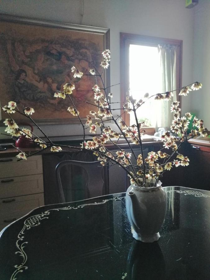 Corte Di Maggio B&B Country House イーモラ エクステリア 写真