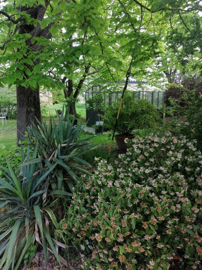 Corte Di Maggio B&B Country House イーモラ エクステリア 写真