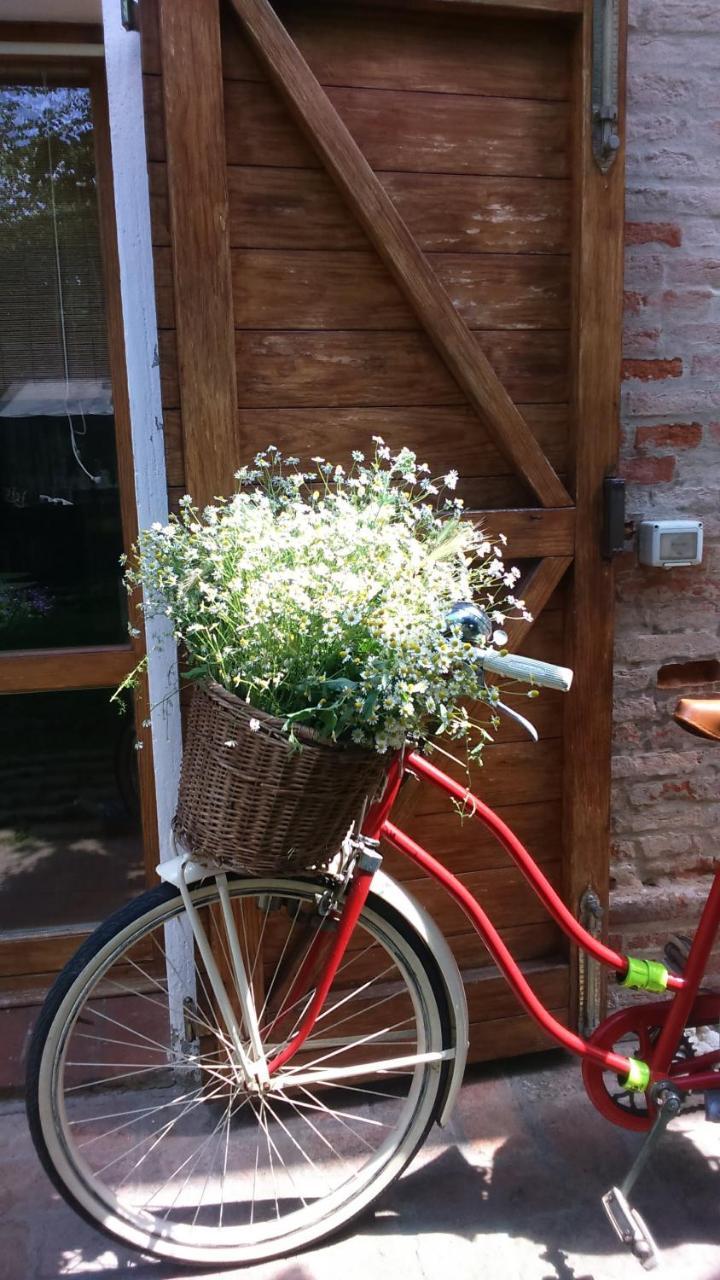 Corte Di Maggio B&B Country House イーモラ エクステリア 写真