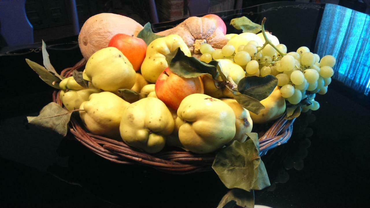 Corte Di Maggio B&B Country House イーモラ エクステリア 写真